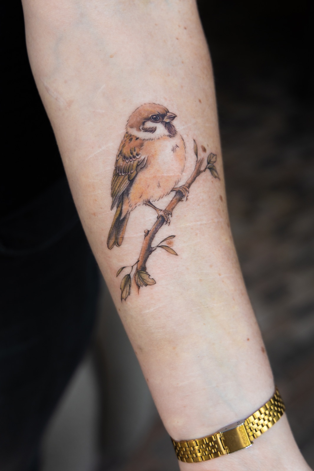 Touch of color tattoo uit mijn portfolio